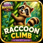 Raccoon Climb in Teen Patti Master – Download & Play